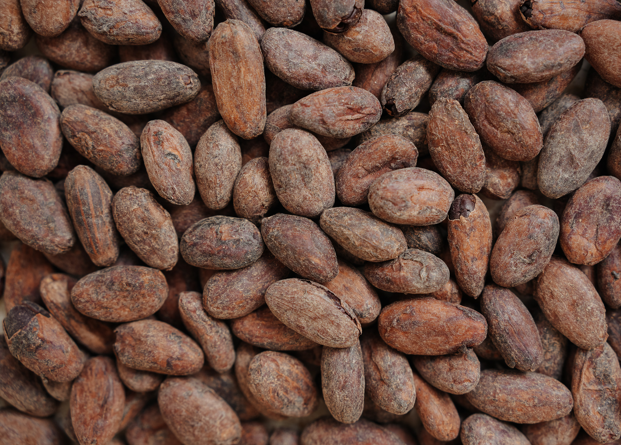 Heavy Metals in Cacao: What You Need to Know About Lead, Cadmium and Choosing Better Ceremonial Cacao